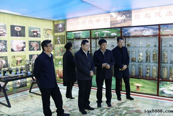 http://202.201.106.11:8080/__local/D/72/3C/A3638FD1FD228EBF513DBCBFF12_AD3F0F08_21526.jpg?e=.jpg